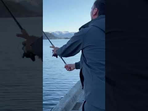 Тащу на Донку.. ДУМАЛИ КАМБАЛА, а ОНО… #shorts