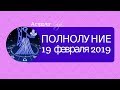 ОГНЕННО-ЗЕМНОЕ ПОЛНОЛУНИЕ 19 февраля 2019 Астролог Olga