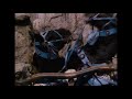Samson Na Delila Movie 