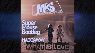 Haddaway - What is Love (Super Mouse Bootleg)