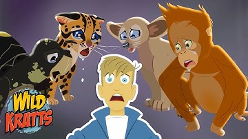 Martin Forgot to Name Some Baby Animals | Season 7 | Wild Kratts