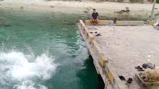 Kebersamaan Abk Sabuk Nusantara105 Di Pelabuhan Tifure