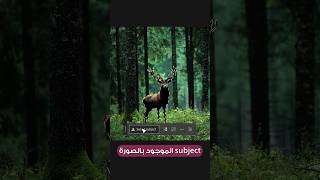 الذكاء الاصطناعي يدخل الفوتوشوب | Artificial intelligence inside Photoshop