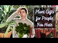 10 Disastrous Planty Gifts for People You Hate