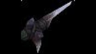Where the "Ancient Spear Shards" for 3 Blacksmithing knowledge, WoW Retail