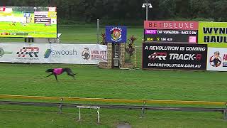 Capalaba 10062026 Race 5
