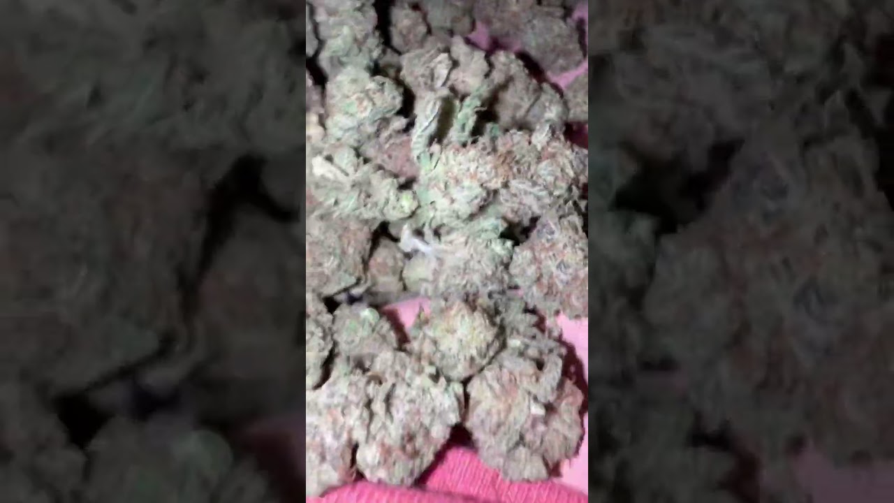 Blueberry Cheesecake🫐🍰