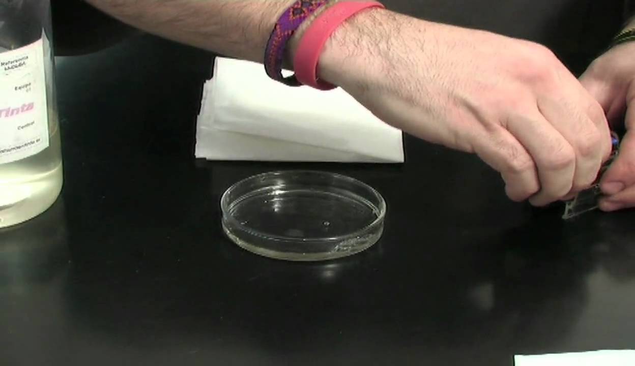 Como Limpiar Cartuchos De Tinta Secos