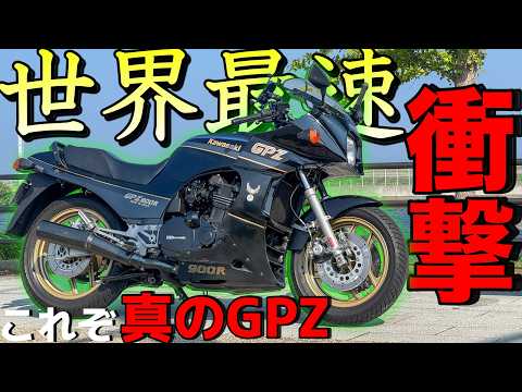 ねこかず - YouTube