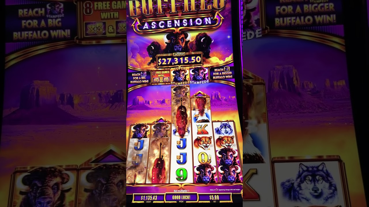 bet365 es $5 Buffalo Ascension! Super Stampede Massive Handpay Slot Machine Jackpot! Palms Casino Las Vegas!