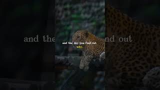 Famous Life Lessons decoded: Cracking the Code to Happiness Net Worth