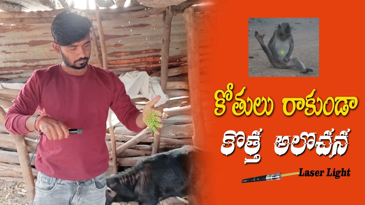 laser Light Unboxing laser Light For Monkeys Monkey Reaction Life