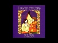 David young  bliss full album