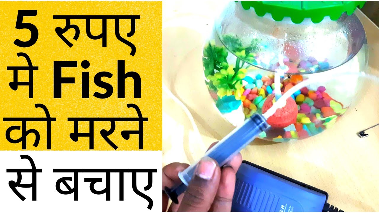 Homemade aquarium air pump/Aquarium Air pump घर पर बनाए। YouTube