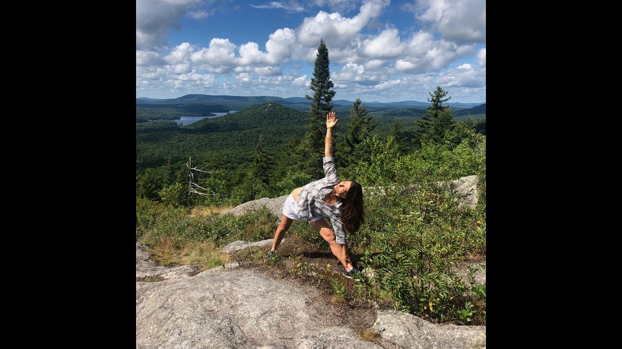 The elixir of Vitality