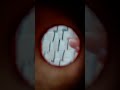 #roblox #funny #memes #viral #haveitoldyoulatelythatiloveyou #comedymemes #butifyoucloseyoureyes