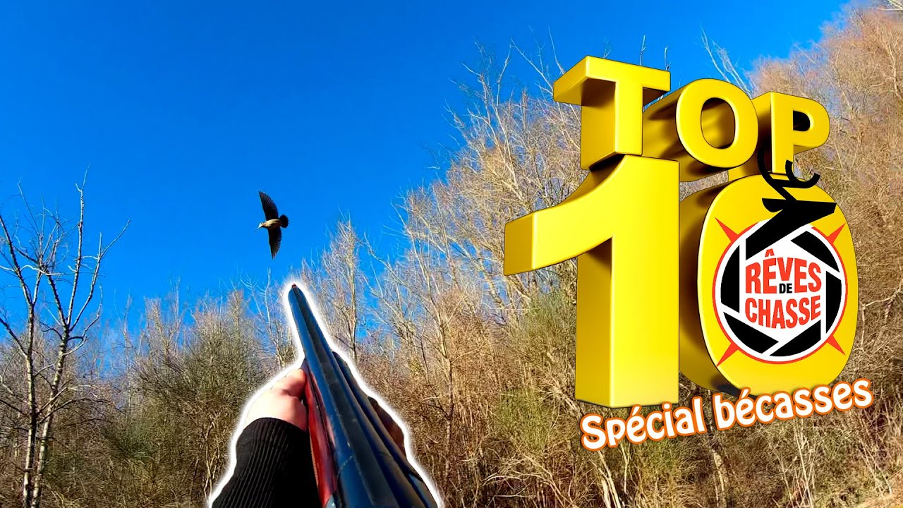 Top 10 Rêves De Chasse n°8 - mai 2023 - Edition spéciale 