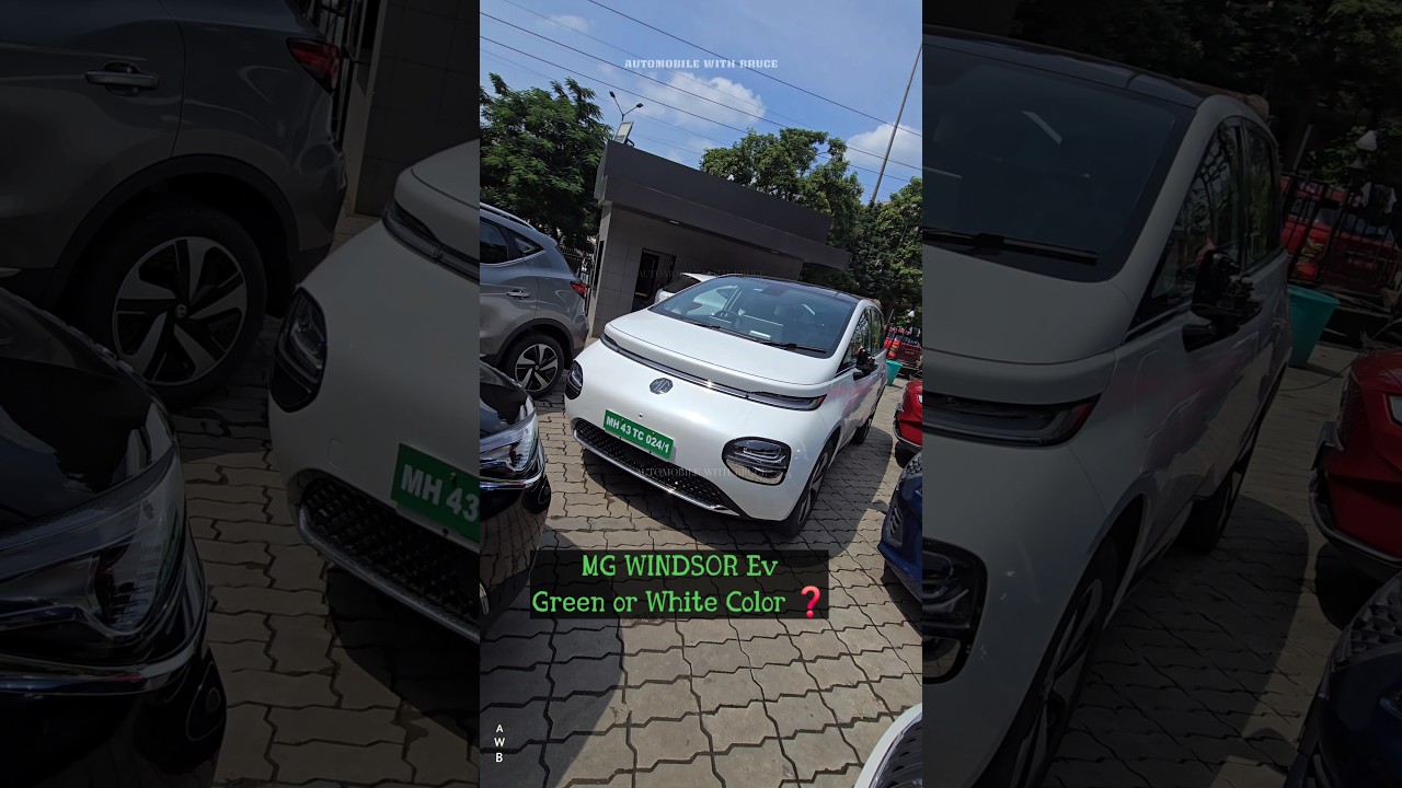 MG WINDSOR White or Green ❓