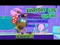 Zig &amp; Sharko - Everyday Life Clips #02 _ HD