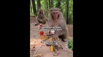 Yea bro needs to quit immediately #memes #brainrotmemes #brainrot #monkeymeme