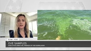 Why does toxic algae continue to impact Lake Okeechobee?