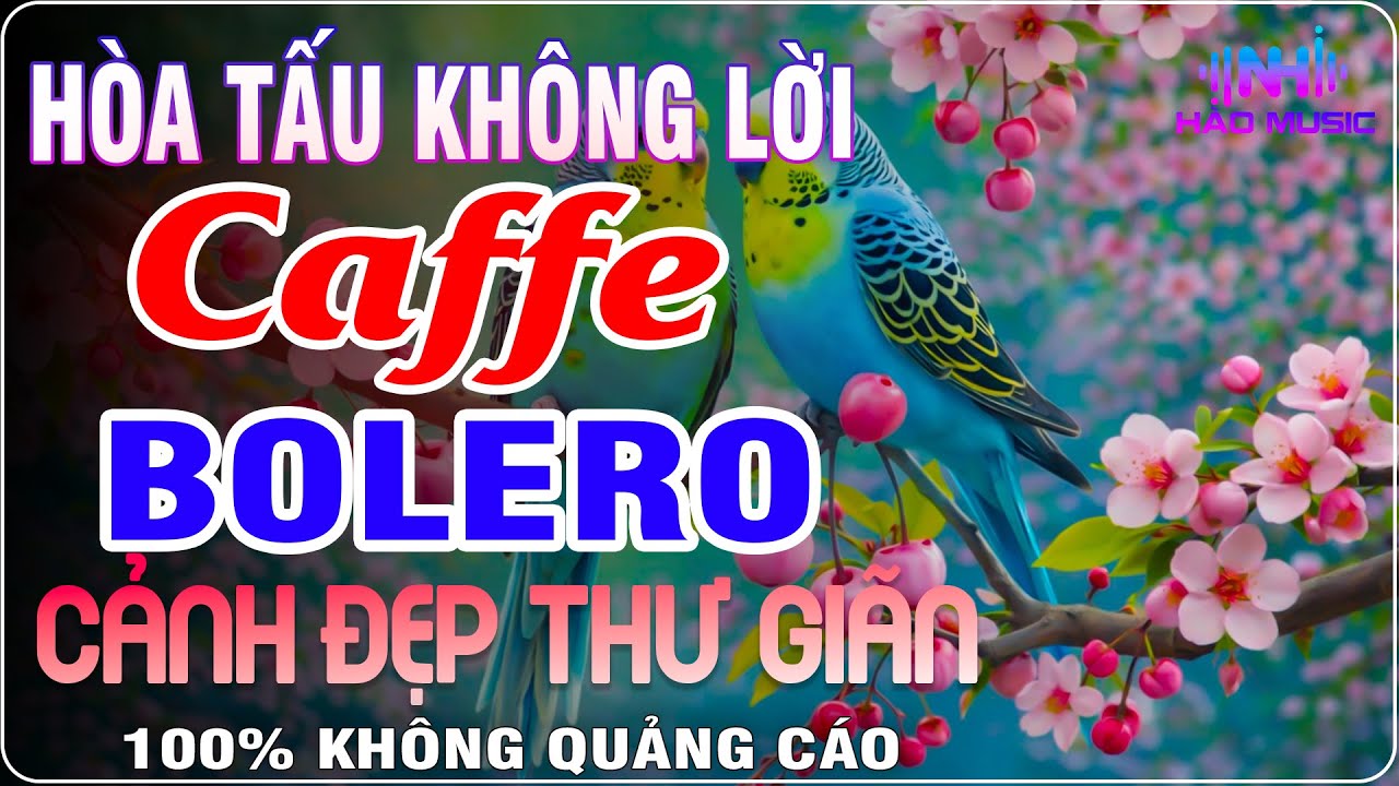 Nhạc Bolero Không Lời Không Quảng Cáo | Hòa Tấu Guitar | Nhạc Cafe Buổi Sáng Cảnh Đẹp Thư Giãn