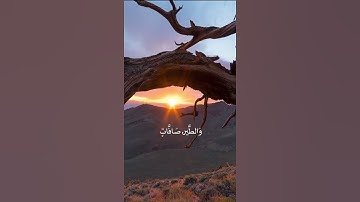 تلاوة عطرة من آيات الذكر الحكيم
