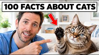 100 Facts About Cats That WILL SURPRISE You (Understand Them Better)