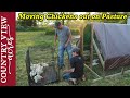 Moving Chickens, Ducks, & Turkeys out on pasture