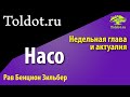 [2 часть] Недельная глава Торы Насо и ее законы. Рав Бенцион Зильбер