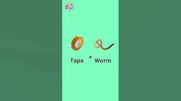 Literal vs Reality English Compound Words #shorts#vocabulary#english#learnenglish#viral#ytshorts#esl