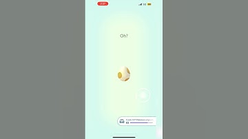 ✨💯🔥 SHUNDO HATCHED🔥💯✨ in #PokemonGO!?!