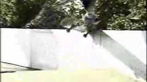 Alien Workshop - Photosynthesis - Habitat - Mark Appleyard