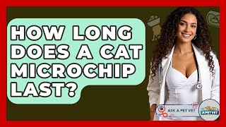 How Long Does A Cat Microchip Last? - Ask A Pet Vet