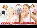 ♡• DEGUSTATION JAPONAISE CANDYSAN | DES GÂTEAUX QUI ARRACHENT !!! •♡