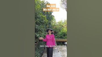 Giảm giá 200 triệu Nhà vườn 1700 m2 #trinhlongan #shortvideo #shorts #nhavuonlongan