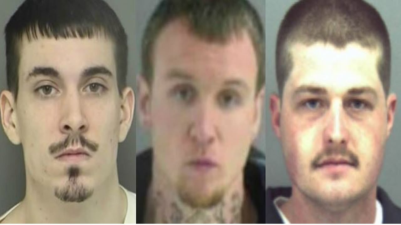 White Domestic Terrorists Plot Race War news reporter job description