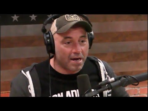 Joe Rogan on Bellator's Budget Cuts