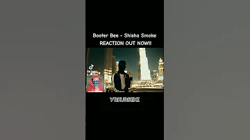 Booter Bee - Shisha Smoke REACTION OUT NOW #viral #drill #alg #rcg #rap #lth #shortsviral #malistrip