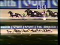 1995 victoria cup harness race  moonee valley melbourne