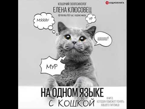 На одном языке с кошкой. Аудиокнига. Фрагмент