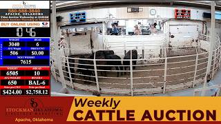 🟢 LIVE: Apache Livestock Auction | 1,000 Head Weekly Cattle Session | April 2, 2026