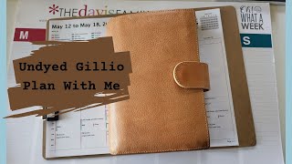 Gillio Undyed Medium Compagna // Weekly Plan With Me // Miranda Plans
