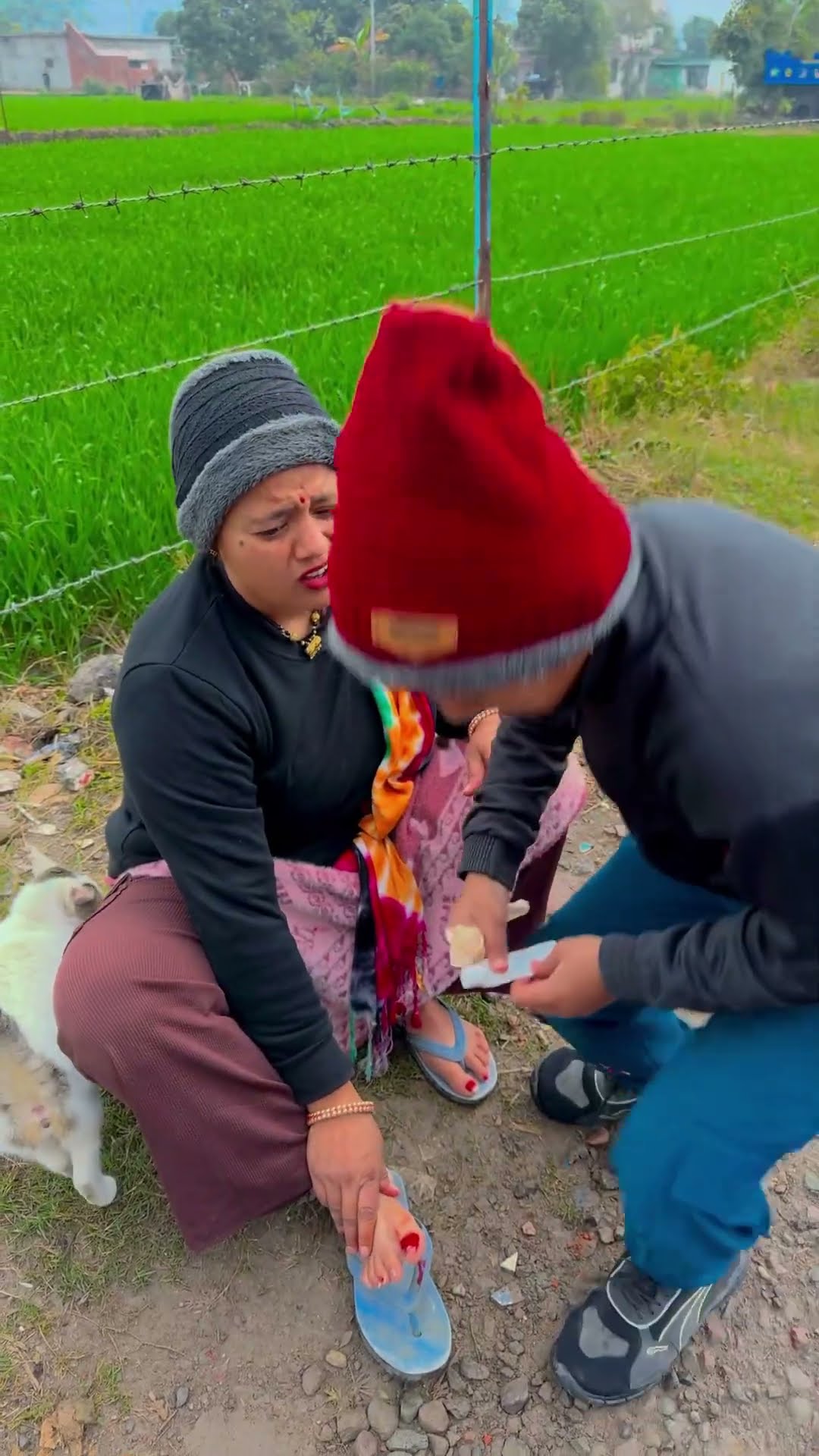 Mother love ❤️ ? #shorts #trending #song #maa #love #viralvideo