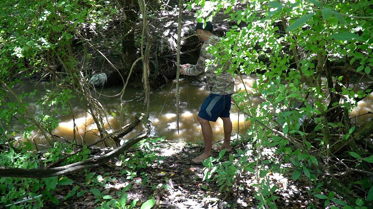 Increíble En El Pequeño Río Donde Encontramos Tilapias (Pesca Y Cocina)