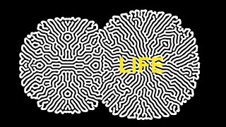 LIFE - EP1: Artificial Life