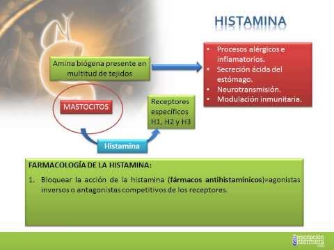 ANTIHISTAMINICOS