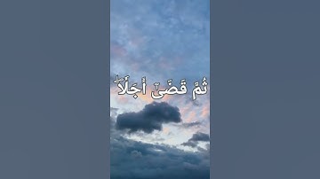 سورة الأنعام - د/عادل احمد زكي