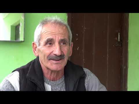 თანადგომა #2