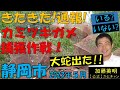 きたきた！通報！カミツキガメ捕獲作戦！いる？いない？大蛇出た！静岡市麻機遊水地2023年5月≫ 加藤英明【公式】かとチャン